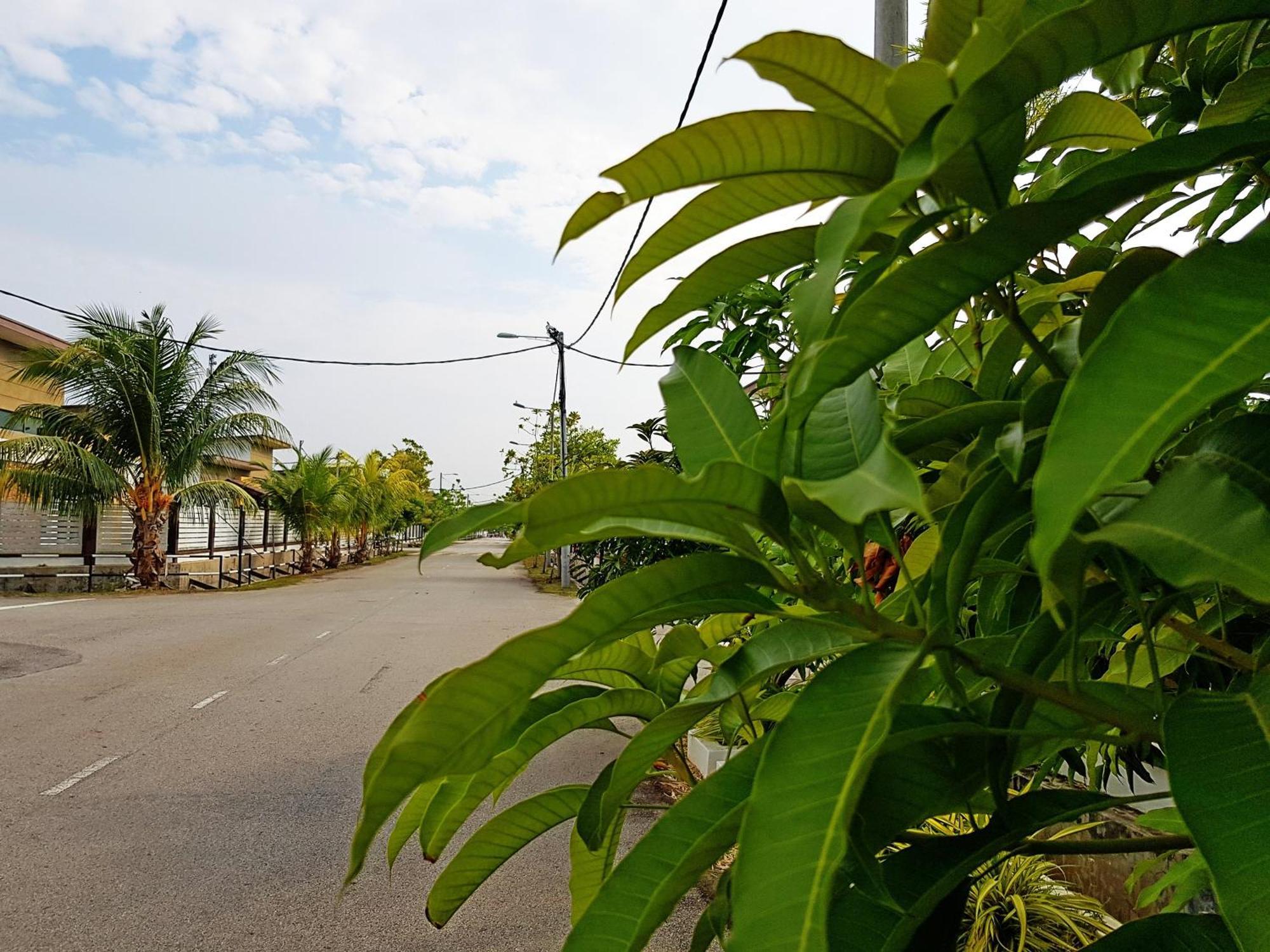 Siantan In Paya Rumput Near Std Hang Jebat, Sg Udang & Uitm Lendu ملقا المظهر الخارجي الصورة